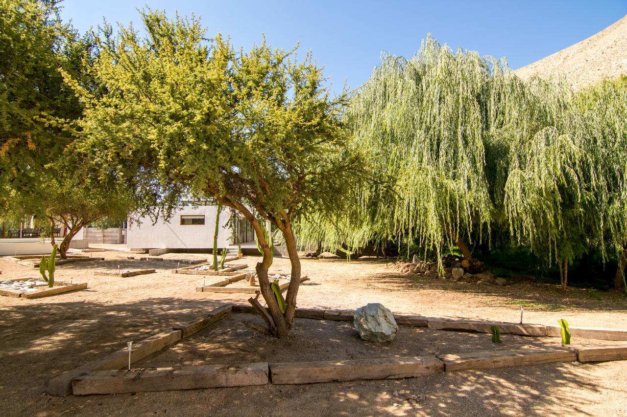 Aldea Del Valle - Elqui Villas, Pisco Elqui Eksteriør bilde