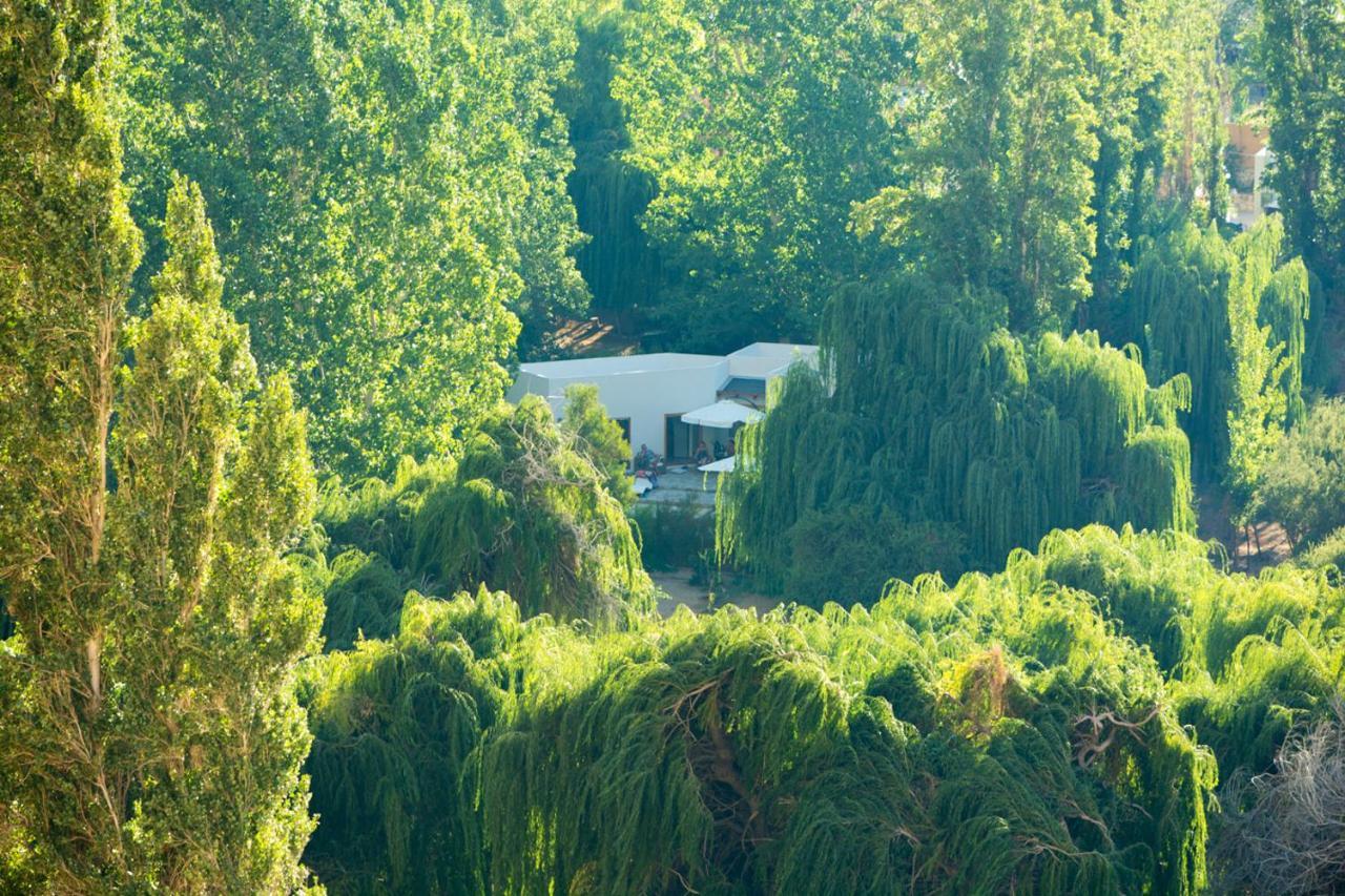 Aldea Del Valle - Elqui Villas, Pisco Elqui Eksteriør bilde
