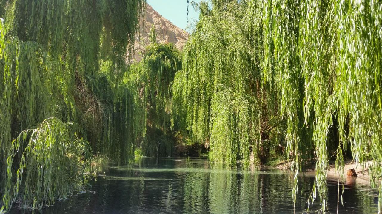Aldea Del Valle - Elqui Villas, Pisco Elqui Eksteriør bilde